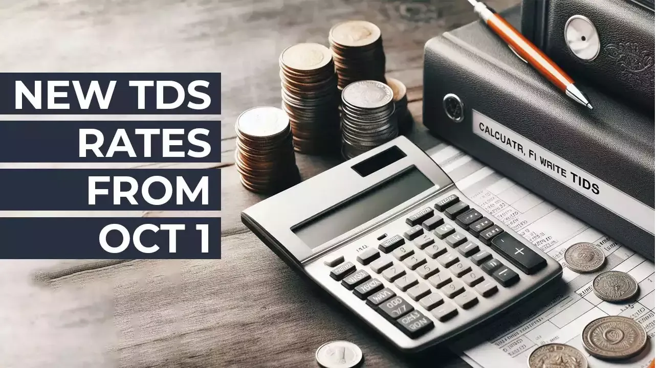 Big TDS Rate Cuts from October 2024! What You Need to Know